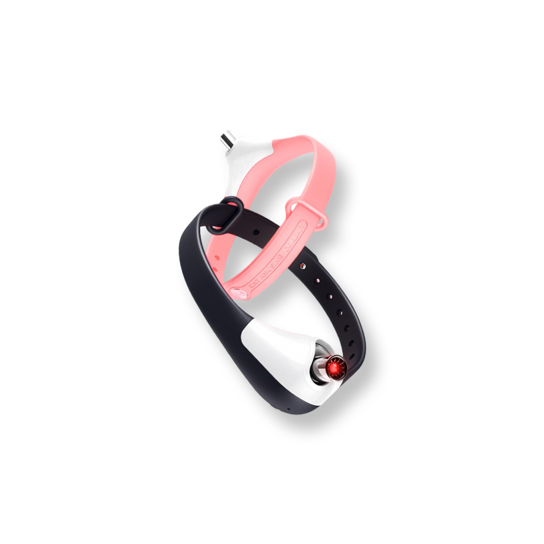 PurrSuit™ - Collare Laser Interattivo