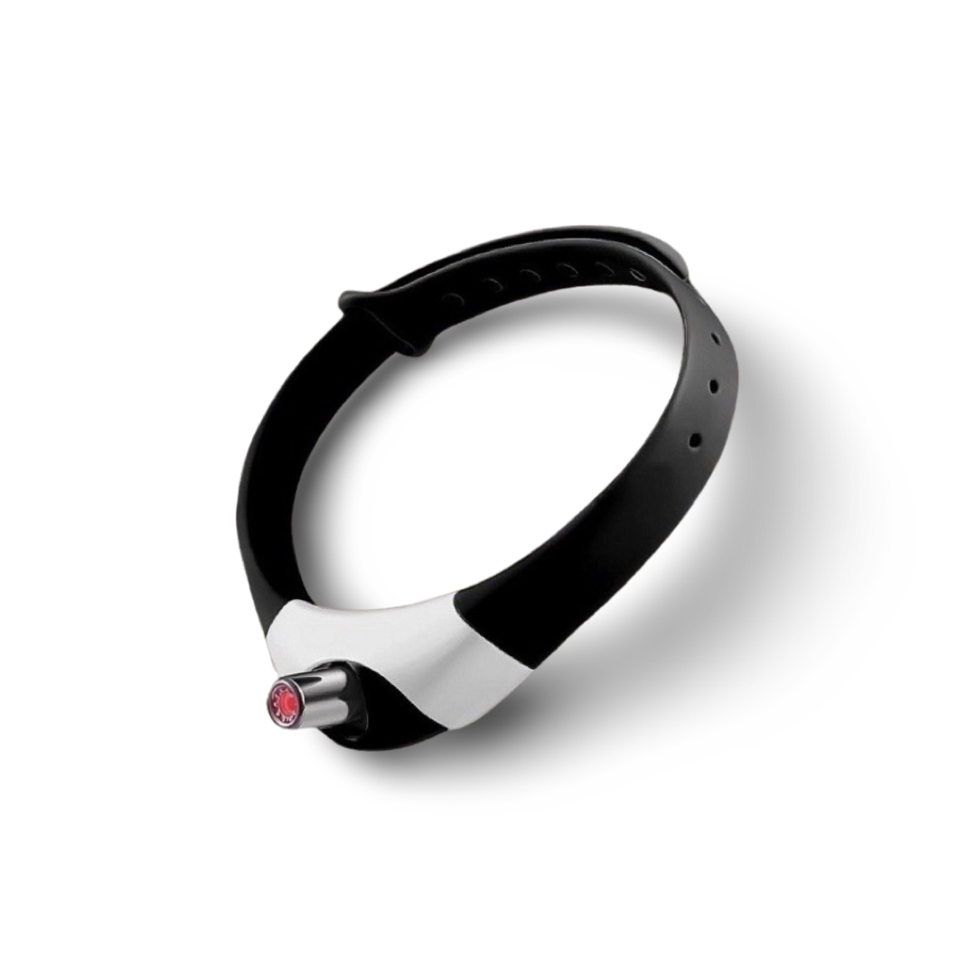 PurrSuit™ - Collare Laser Interattivo