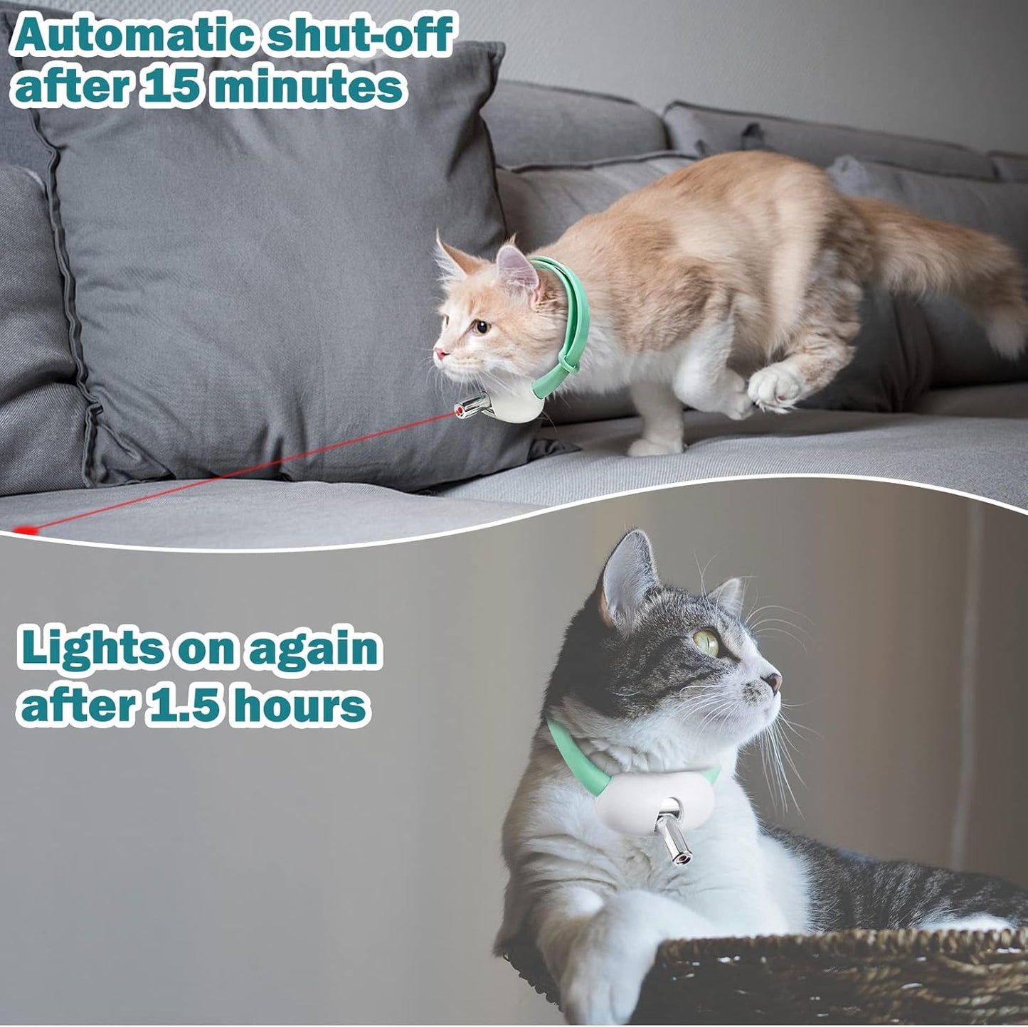 PurrSuit™ - Collare Laser Interattivo