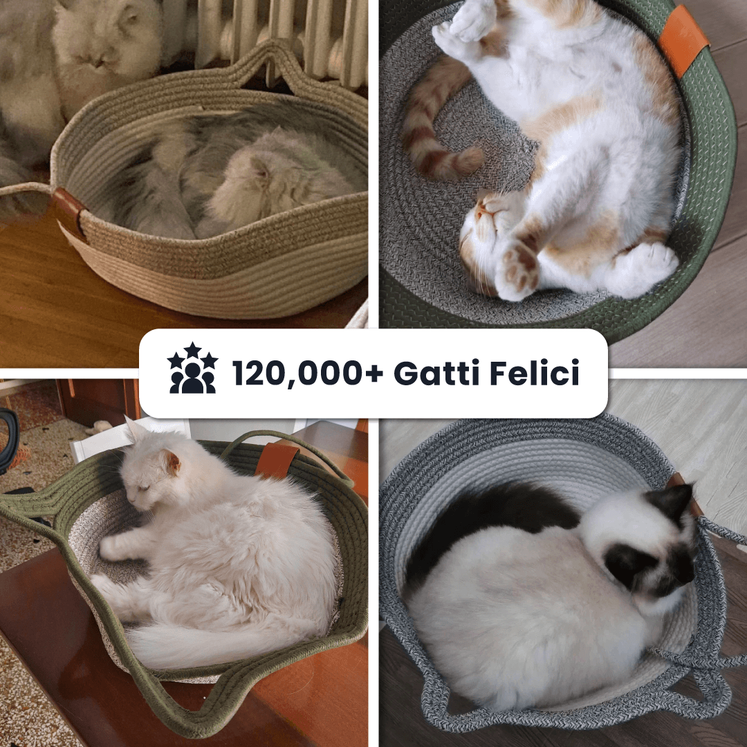 Cesta per Gatti in Corda Intrecciata