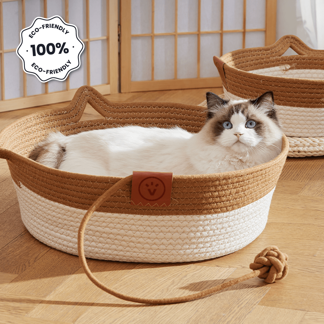 Cesta per Gatti in Corda Intrecciata