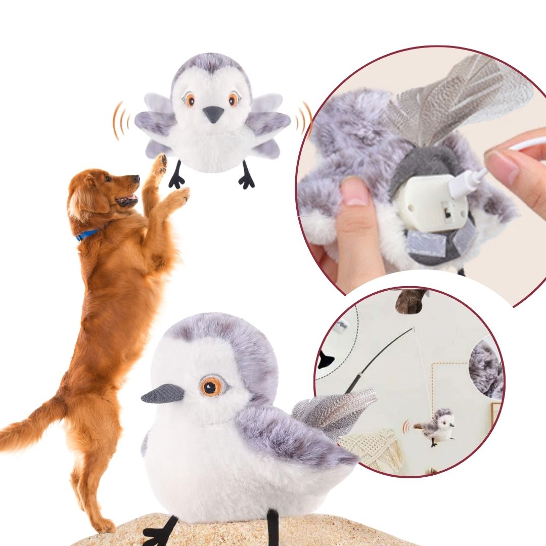 Flaffy – Il compagno che prende vita 😻🐶